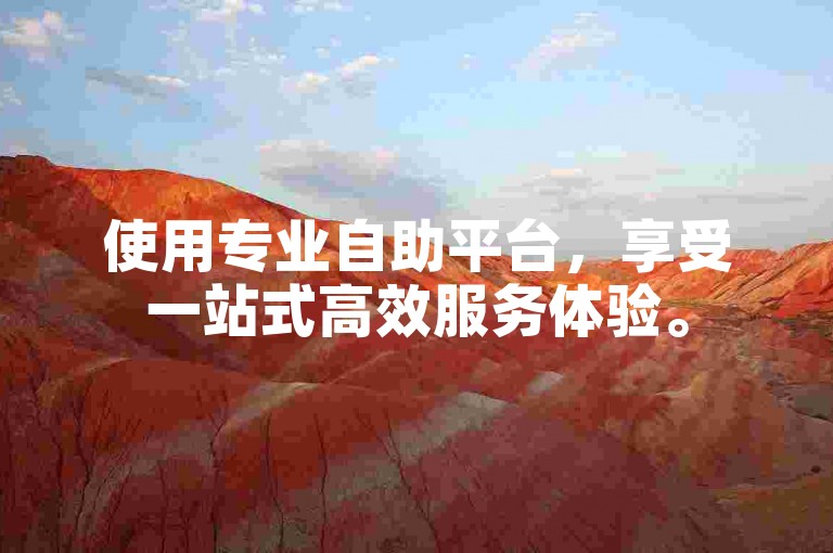 使用专业自助平台，享受一站式高效服务体验。