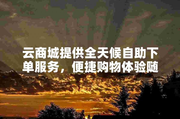 云商城提供全天候自助下单服务，便捷购物体验随时享。