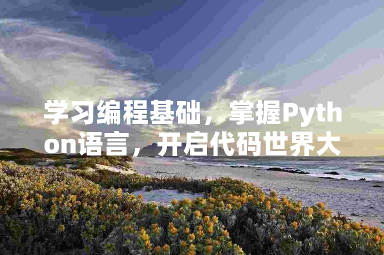 学习编程基础，掌握Python语言，开启代码世界大门。