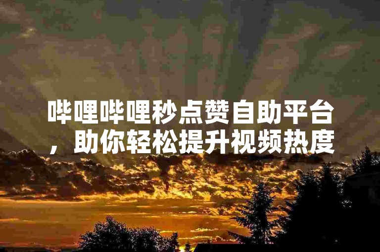 哔哩哔哩秒点赞自助平台，助你轻松提升视频热度。