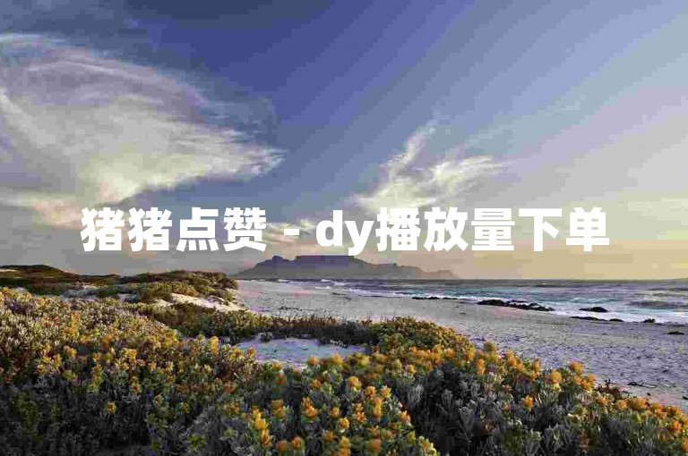 猪猪点赞 - dy播放量下单