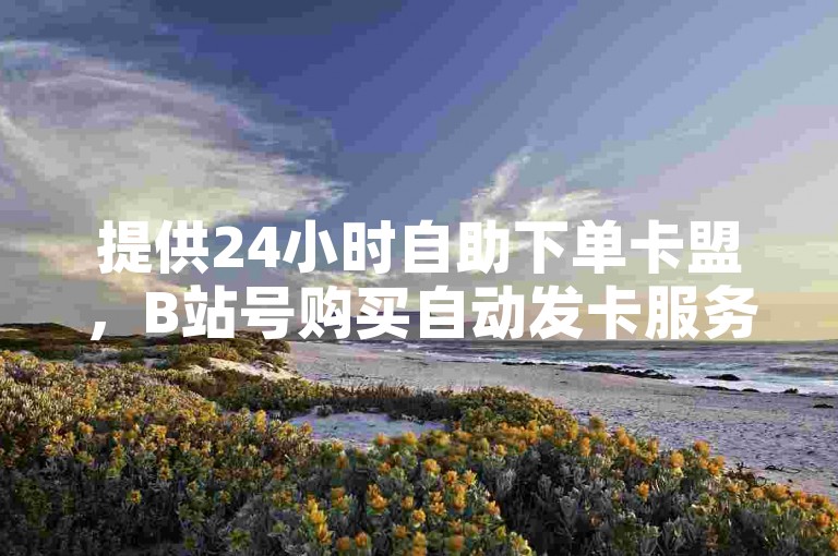 提供24小时自助下单卡盟，B站号购买自动发卡服务。