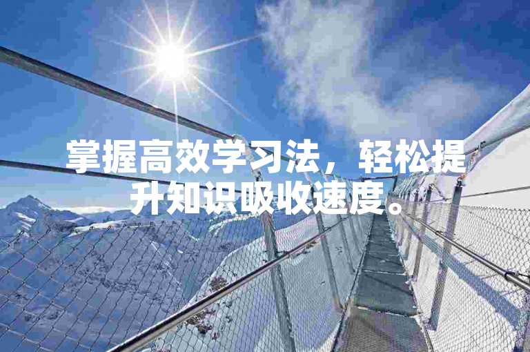 掌握高效学习法，轻松提升知识吸收速度。