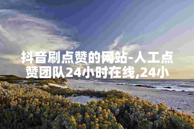 抖音刷点赞的网站-人工点赞团队24小时在线,24小时网课在线下单平台