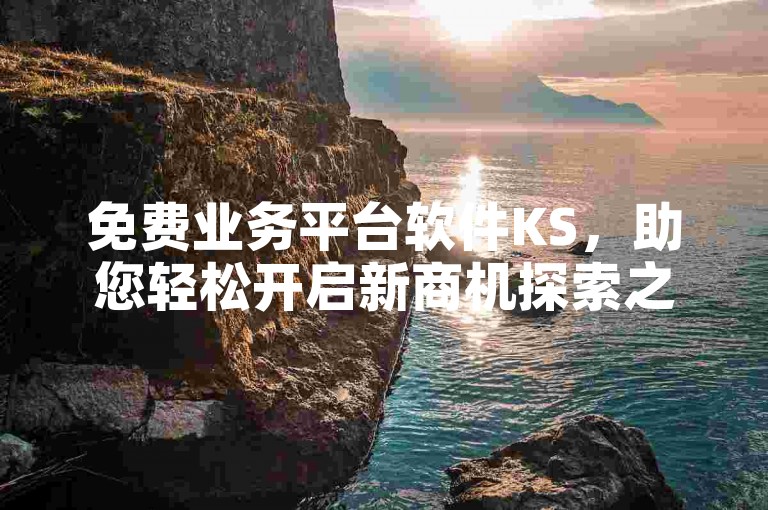 免费业务平台软件KS，助您轻松开启新商机探索之旅。