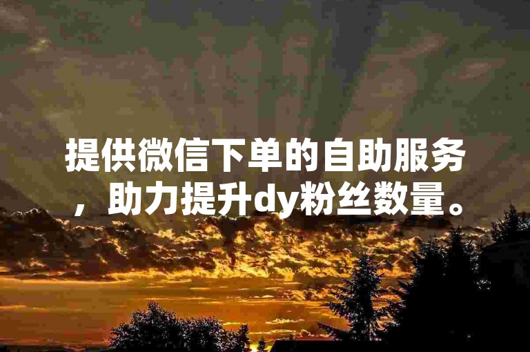提供微信下单的自助服务，助力提升dy粉丝数量。
