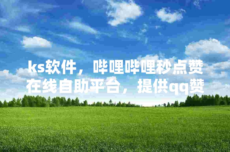 ks软件，哔哩哔哩秒点赞在线自助平台，提供qq赞服务和刷访客人数的免费独家揭秘。