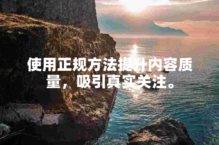 使用正规方法提升内容质量，吸引真实关注。