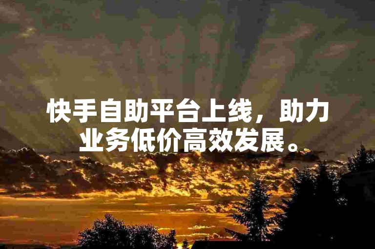快手自助平台上线，助力业务低价高效发展。