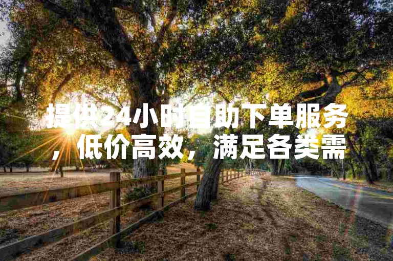 提供24小时自助下单服务，低价高效，满足各类需求。