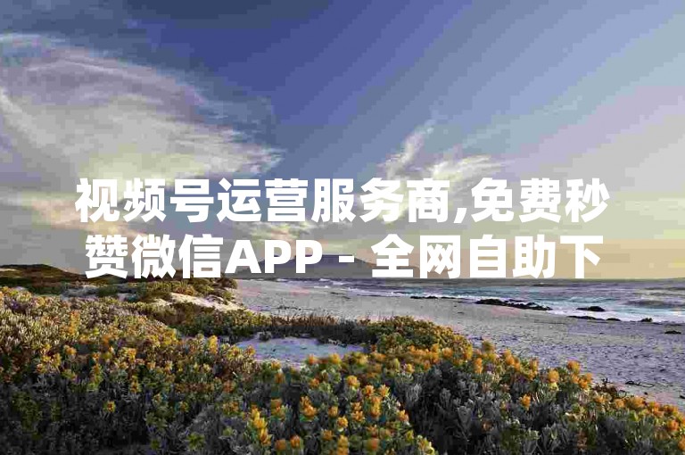 视频号运营服务商,免费秒赞微信APP - 全网自助下单最便宜 - dy业务自助下单在线。