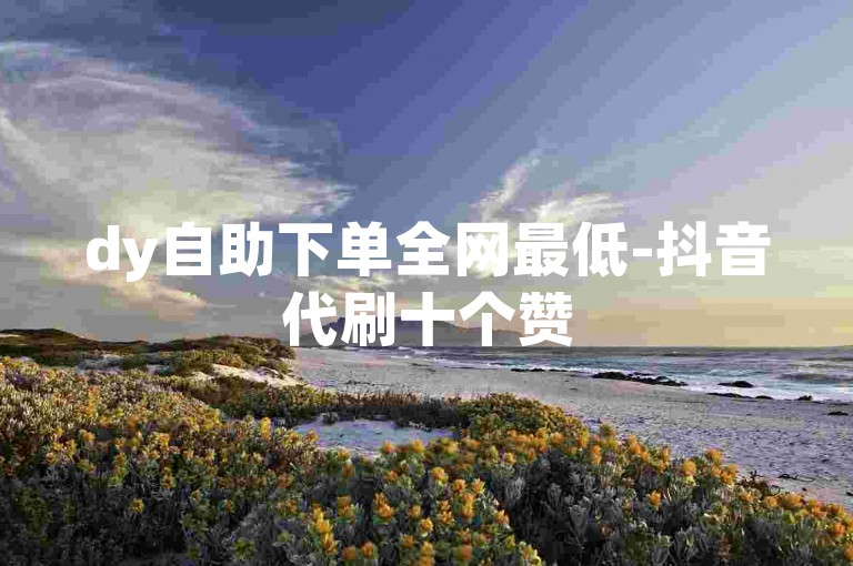 dy自助下单全网最低-抖音代刷十个赞