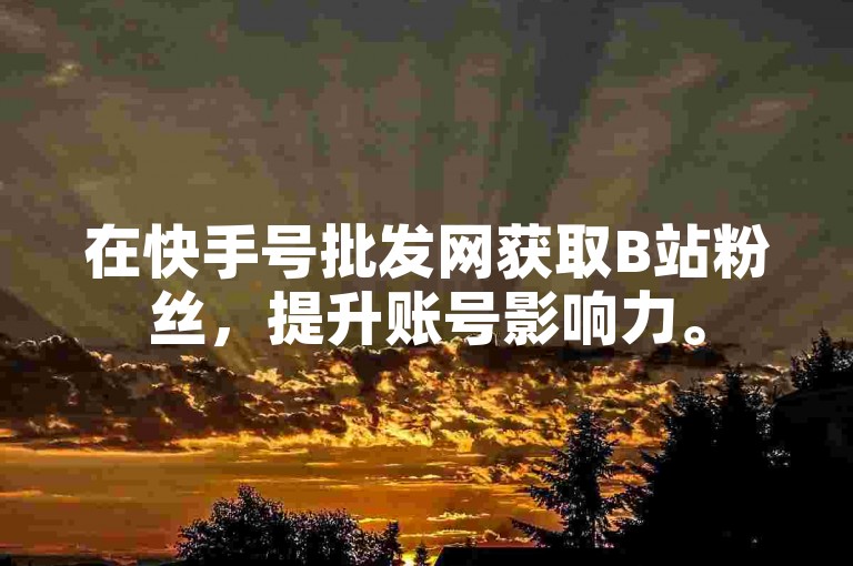 在快手号批发网获取B站粉丝，提升账号影响力。