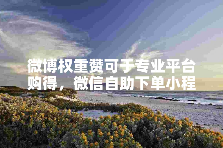 微博权重赞可于专业平台购得，微信自助下单小程序需依规开发。