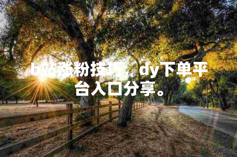 b站涨粉技巧，dy下单平台入口分享。