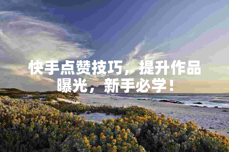 快手点赞技巧，提升作品曝光，新手必学！