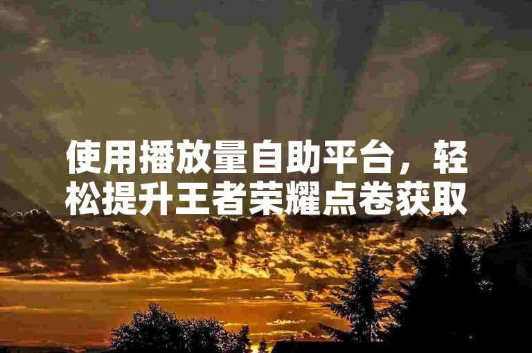 使用播放量自助平台，轻松提升王者荣耀点卷获取效率。