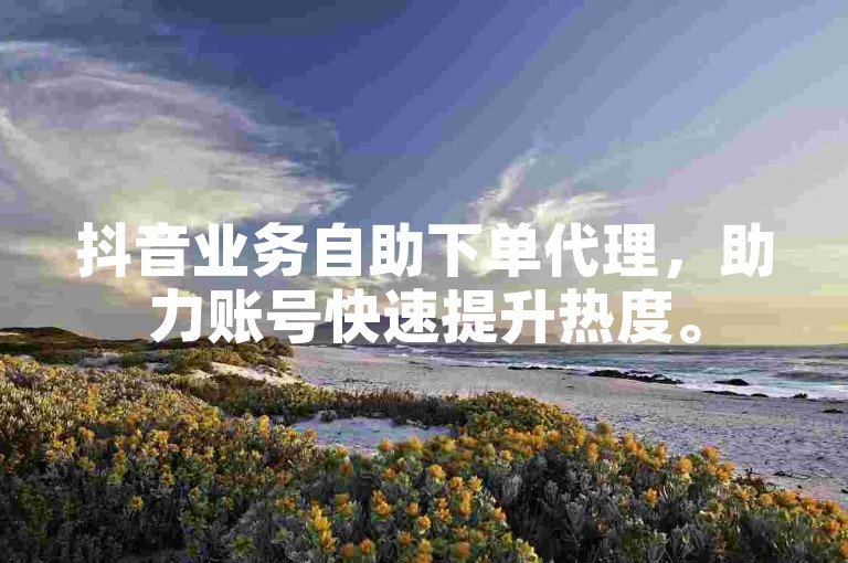 抖音业务自助下单代理，助力账号快速提升热度。