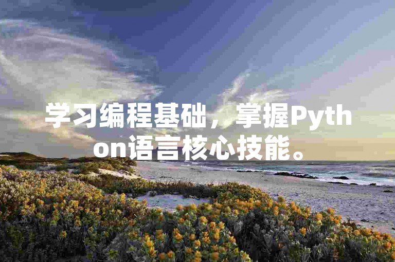 学习编程基础，掌握Python语言核心技能。