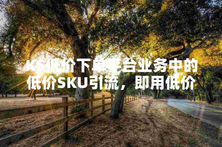 KS低价下单平台业务中的低价SKU引流，即用低价格商品吸引顾客。