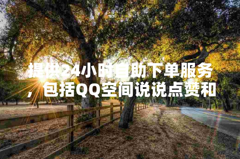 提供24小时自助下单服务，包括QQ空间说说点赞和浏览量提升。
