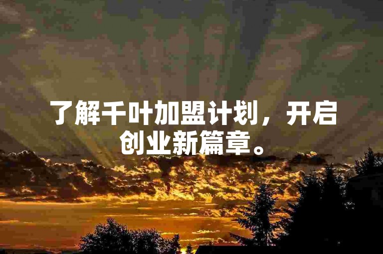 了解千叶加盟计划，开启创业新篇章。