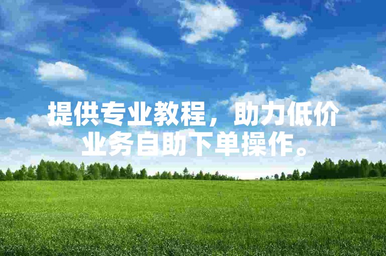 提供专业教程，助力低价业务自助下单操作。