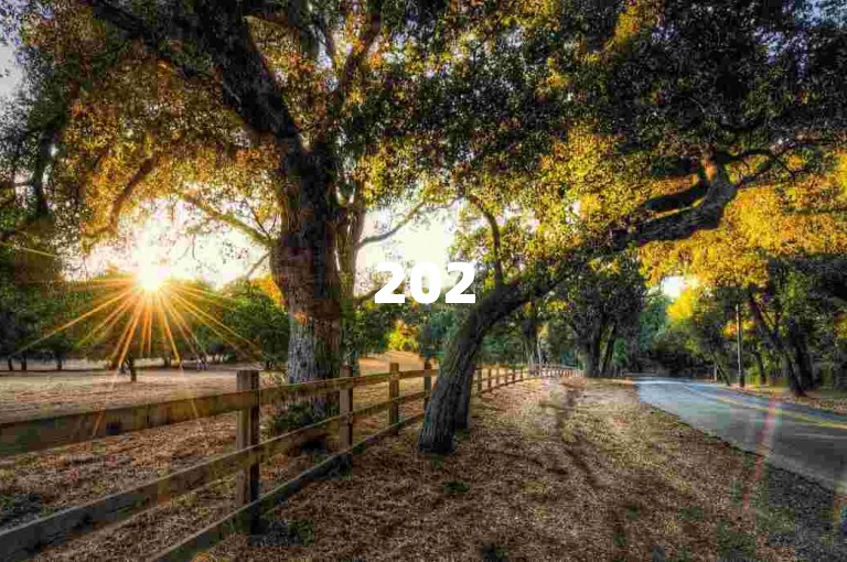 2025拼多多新人助力，轻松砍价享优惠。