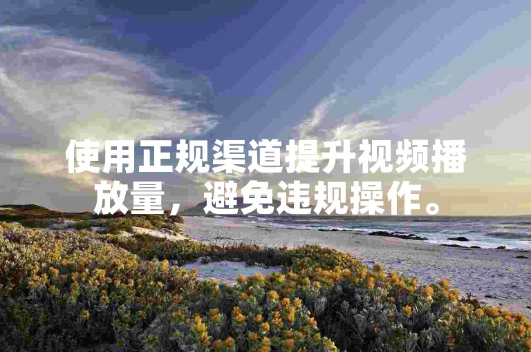 使用正规渠道提升视频播放量，避免违规操作。
