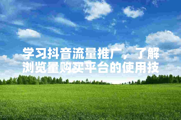 学习抖音流量推广，了解浏览量购买平台的使用技巧。