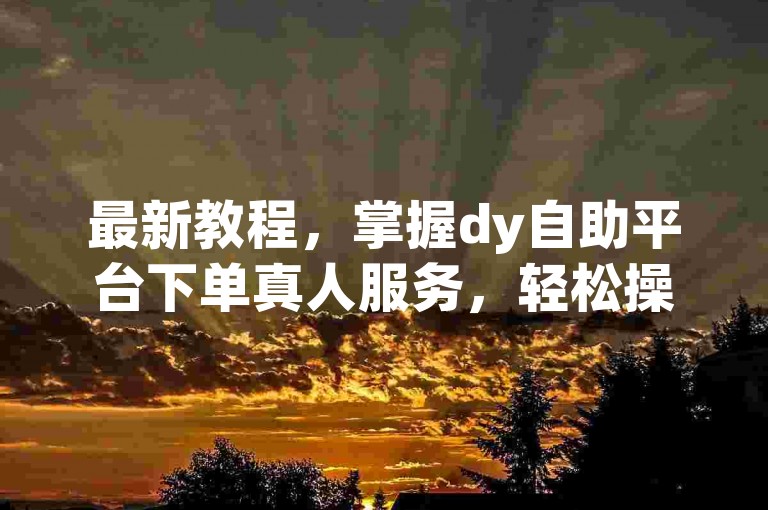 最新教程，掌握dy自助平台下单真人服务，轻松操作。