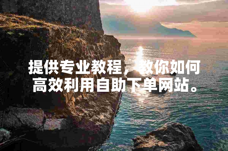 提供专业教程，教你如何高效利用自助下单网站。