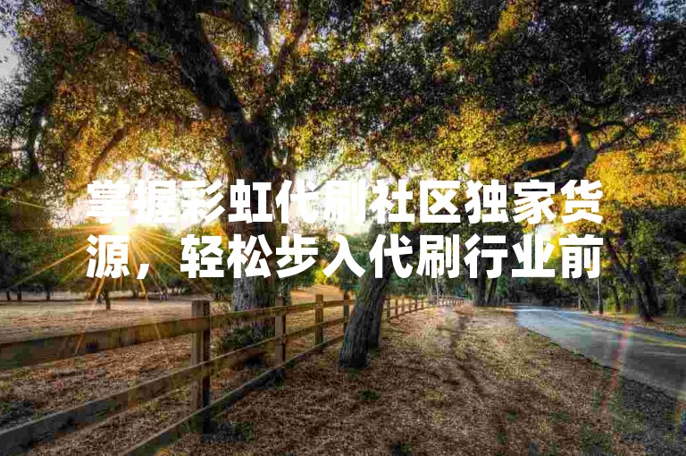 掌握彩虹代刷社区独家货源，轻松步入代刷行业前沿。