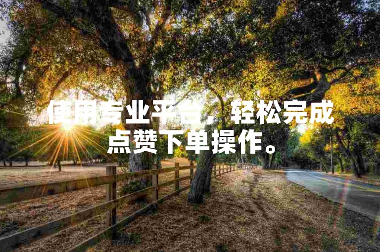 使用专业平台，轻松完成点赞下单操作。