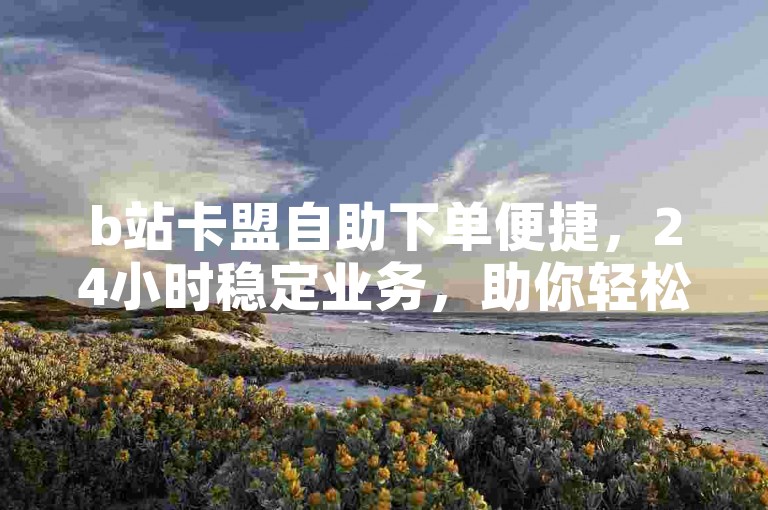 b站卡盟自助下单便捷，24小时稳定业务，助你轻松解决需求。