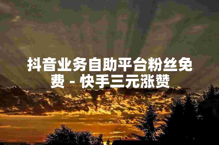 抖音业务自助平台粉丝免费 - 快手三元涨赞