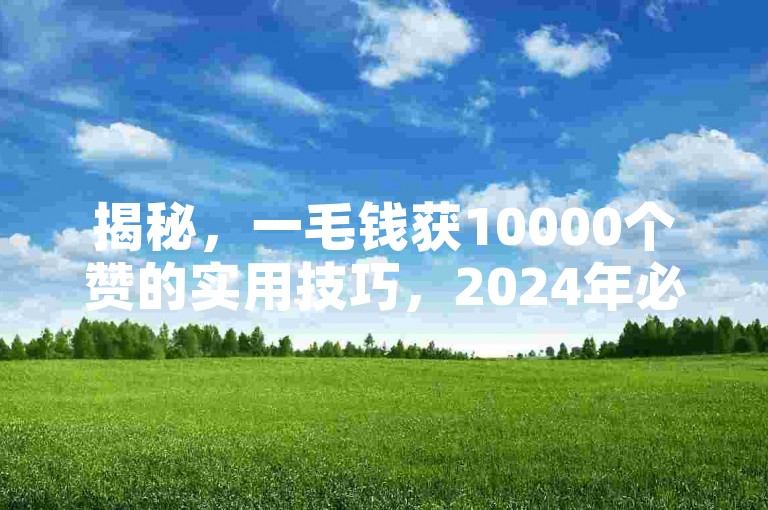 揭秘，一毛钱获10000个赞的实用技巧，2024年必掌握！