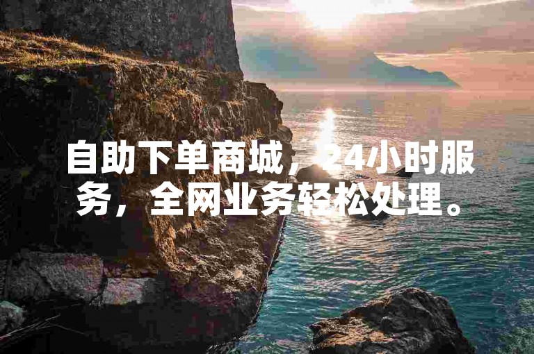 自助下单商城，24小时服务，全网业务轻松处理。