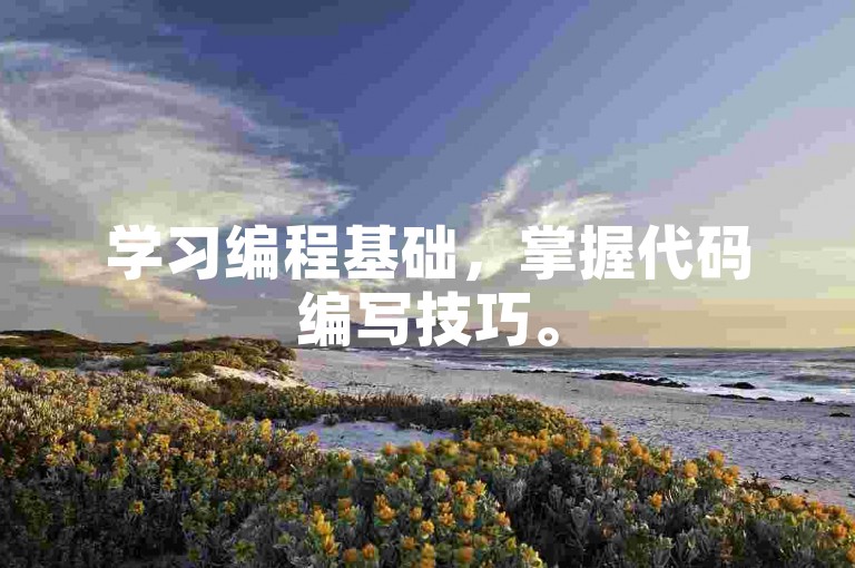 学习编程基础，掌握代码编写技巧。