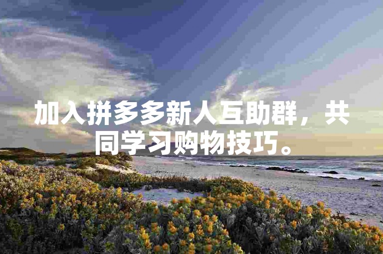 加入拼多多新人互助群，共同学习购物技巧。