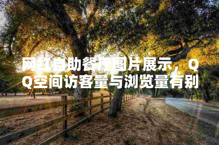 网红自助餐厅图片展示，QQ空间访客量与浏览量有别。