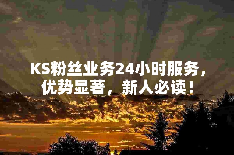 KS粉丝业务24小时服务，优势显著，新人必读！