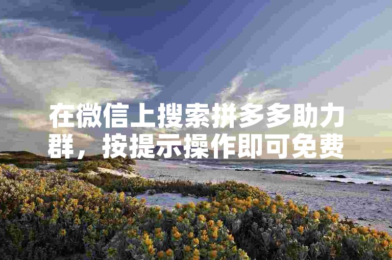 在微信上搜索拼多多助力群，按提示操作即可免费加入。