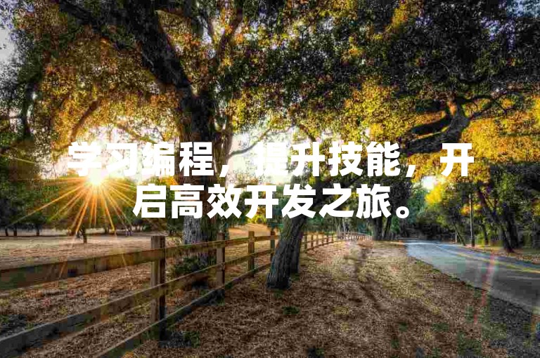 学习编程，提升技能，开启高效开发之旅。