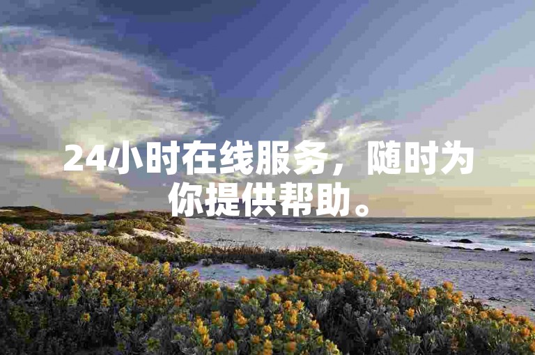 24小时在线服务，随时为你提供帮助。