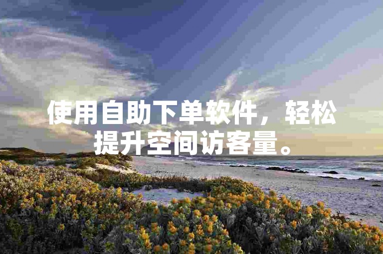 使用自助下单软件，轻松提升空间访客量。