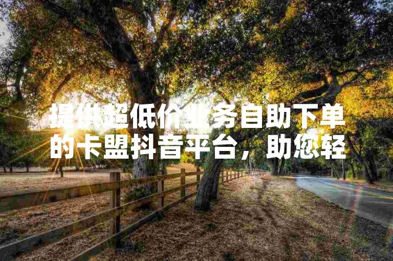提供超低价业务自助下单的卡盟抖音平台，助您轻松获取所需服务。