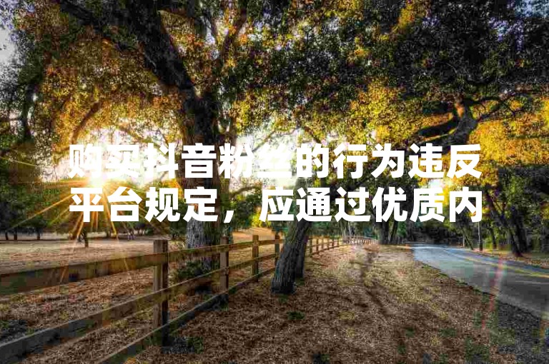 购买抖音粉丝的行为违反平台规定，应通过优质内容吸引真实关注。