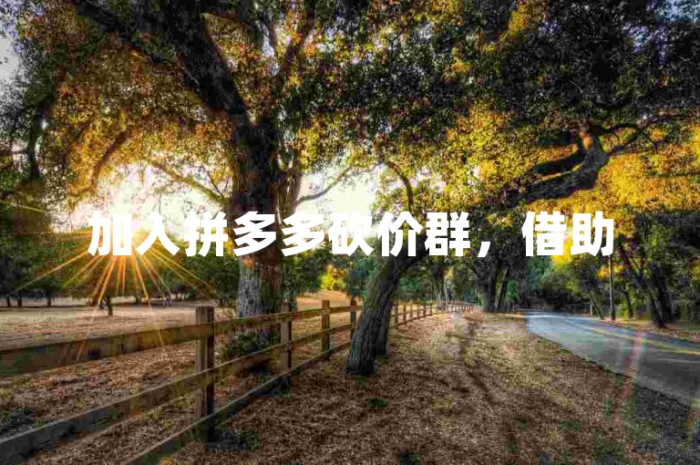 加入拼多多砍价群，借助500人助力微信群，轻松实现免费砍价。
