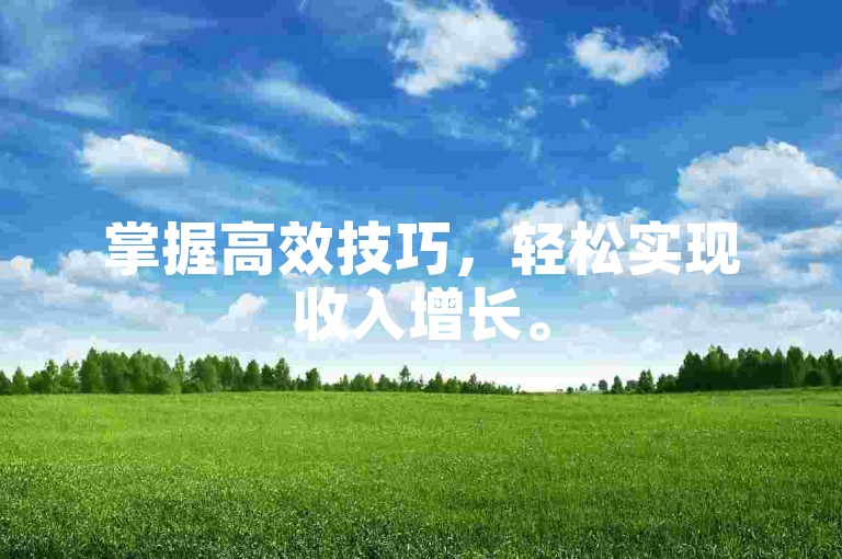 掌握高效技巧，轻松实现收入增长。